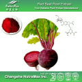 GMP Supply Red Beet Root Extract (Betanin 4%, 4: 1~20: 1)